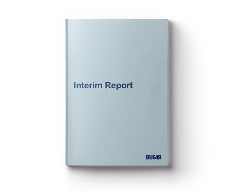 Bufab-Interim-Report