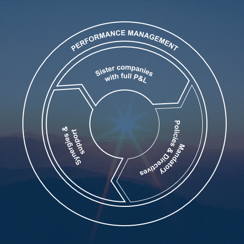 Operating model